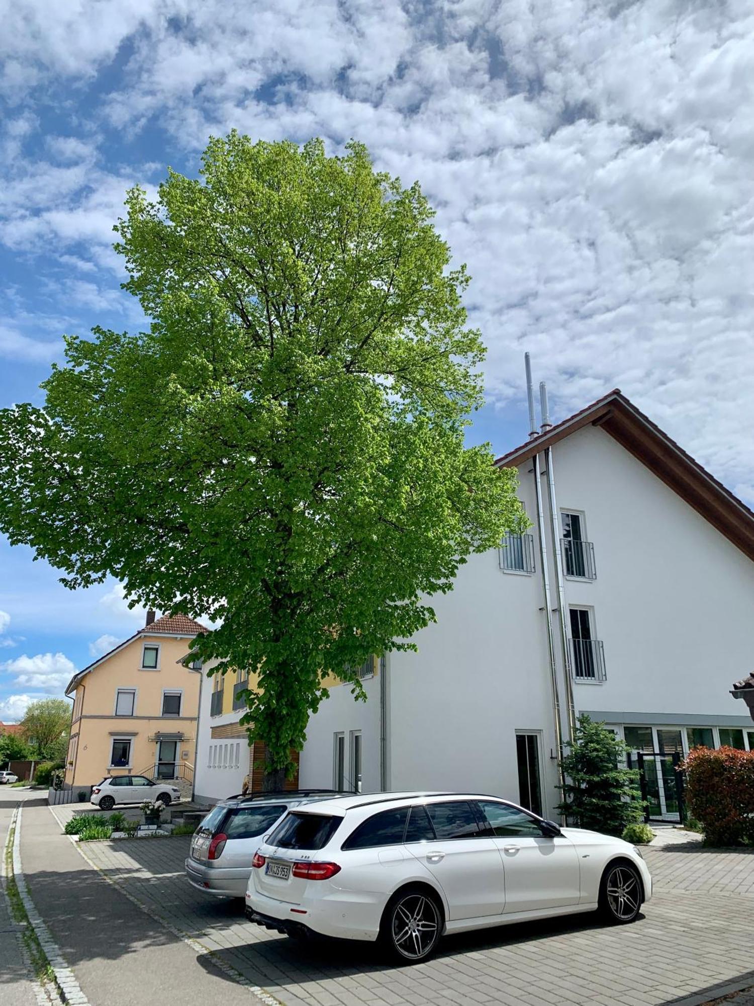 Gaestehaus Gn8 Rielasingen-Worblingen Kültér fotó